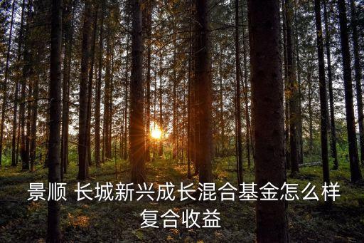  景順 長城新興成長混合基金怎么樣復合收益