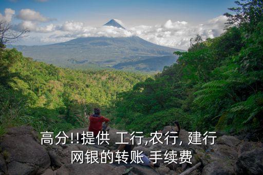 高分!!提供 工行,農(nóng)行, 建行 網(wǎng)銀的轉(zhuǎn)賬 手續(xù)費(fèi)