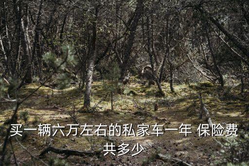 轎車保險費是多少,轎車退保險費需要什么手續(xù)