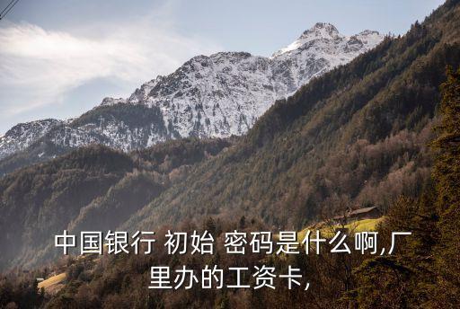 中國銀行默認初始密碼是多少,社保卡中國銀行初始密碼是多少