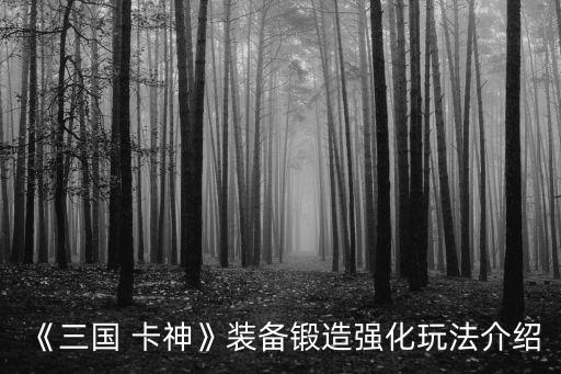 卡神升級(jí)需要多少錢,卡神酒多少錢