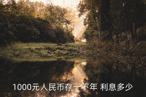 一千存款利息是多少錢,每天一千塊利息得多少存款