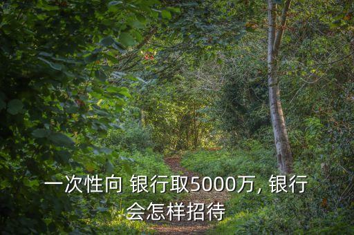 一次性向 銀行取5000萬(wàn), 銀行會(huì)怎樣招待