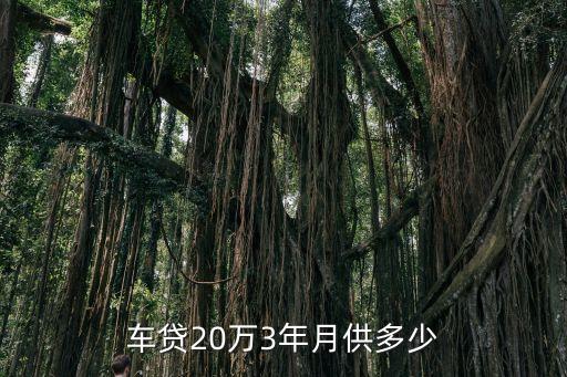 辦理豐田金融按揭20w利息多少
