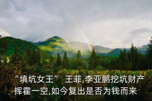 王菲身價多少億,王菲2020身價多少億