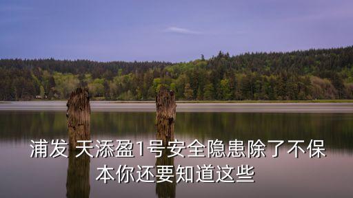  浦發(fā) 天添盈1號安全隱患除了不保本你還要知道這些