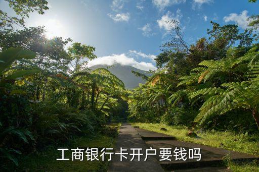 工商銀行卡開戶要錢嗎