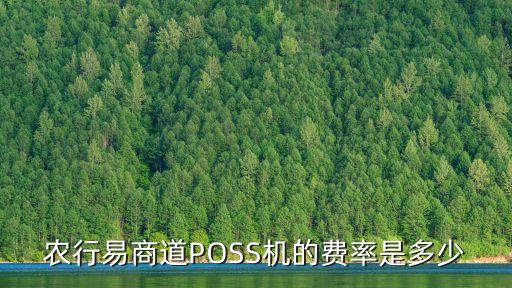poss機(jī)刷卡手續(xù)是多少,農(nóng)業(yè)銀行poss機(jī)刷卡手續(xù)是多少