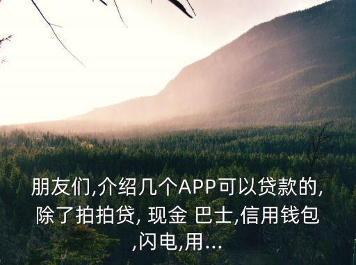 朋友們,介紹幾個(gè)APP可以貸款的,除了拍拍貸, 現(xiàn)金 巴士,信用錢包,閃電,用...