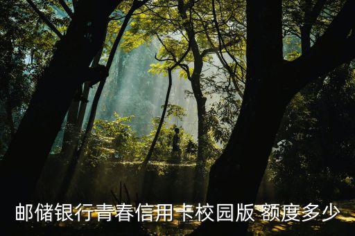 郵儲銀行青春信用卡校園版 額度多少