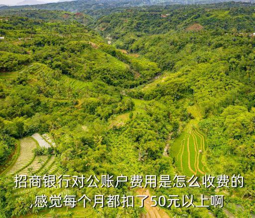 招商備用金手續(xù)費多少錢