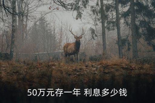 五十萬存銀行兩年利息是多少錢,有五十萬怎么存銀行利息高