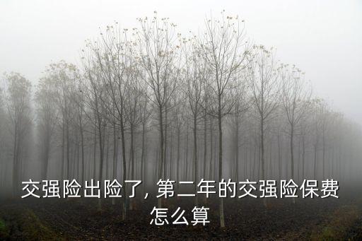 交強險出險了, 第二年的交強險保費怎么算