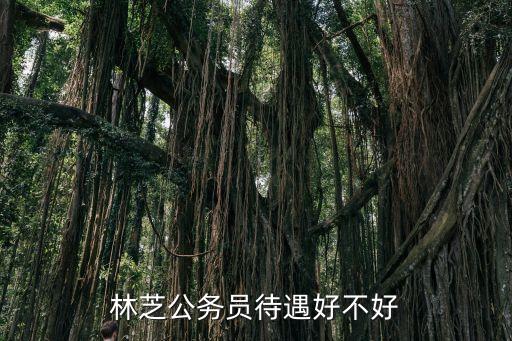 西藏林芝地區(qū)銀行的工資多少錢,林芝地區(qū)教師工資多少?