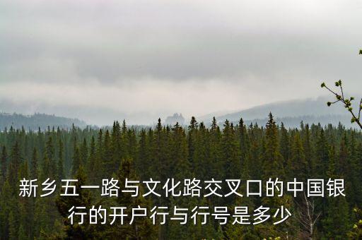 新鄉(xiāng)中行電話是多少錢,中行新鄉(xiāng)分行營業(yè)部電話