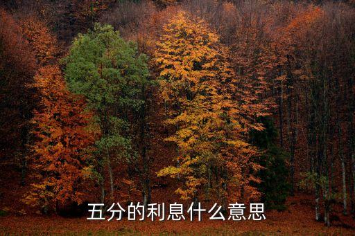 五分的利息什么意思