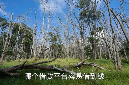 哪個借款平臺容易借到錢