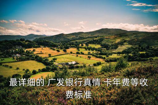 廣發(fā)visa卡年費(fèi)是多少錢,廣發(fā)臻享visa雙幣白金卡年費(fèi)