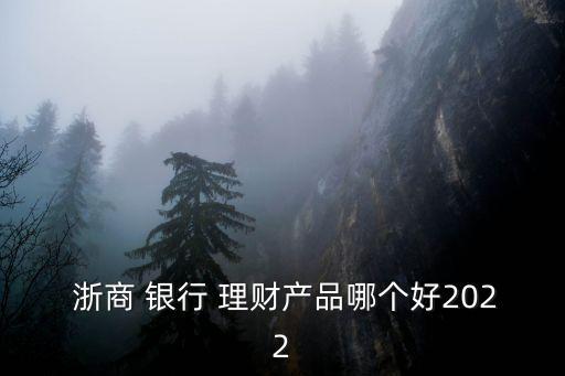 浙商銀行一日理財(cái)多少