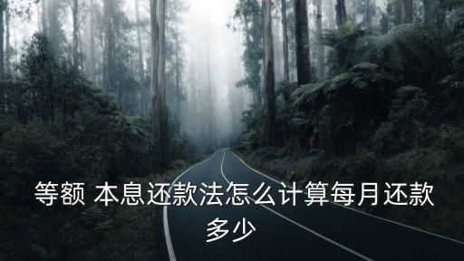 等額本息 本金多少