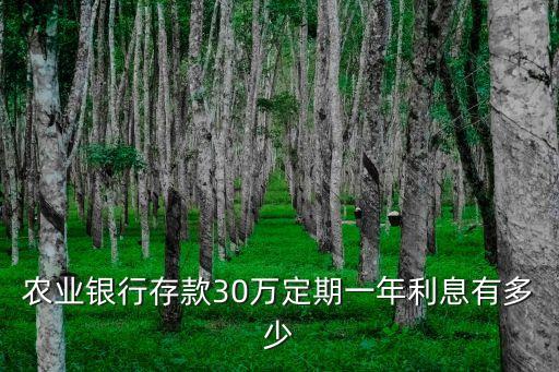 農(nóng)業(yè)銀行存款30萬(wàn)定期一年利息有多少