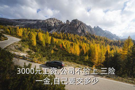 三險一金個人交多少,個人能交三險一金嗎