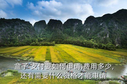  盒子 支付要如何申請,費用多少,還有需要什么資格才能申請