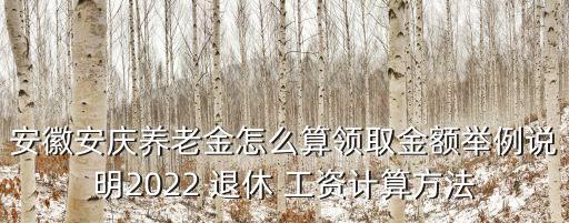 安徽省退休人員工資是多少錢,今年安徽省退休人員工資何時(shí)調(diào)整?