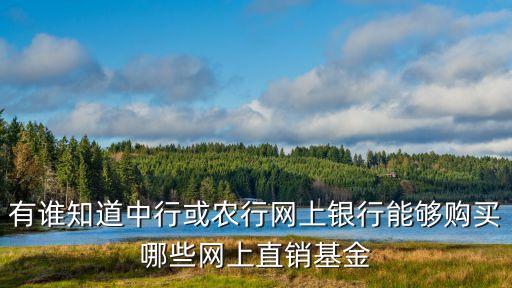 華夏藍(lán)籌估值多少