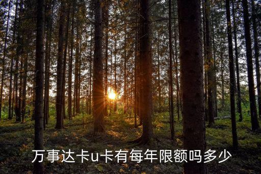  萬事達卡u卡有每年限額嗎多少