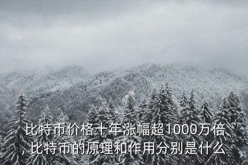 比特幣漲了多少