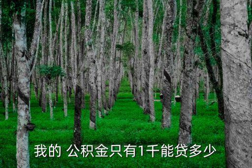 我的 公積金只有1千能貸多少