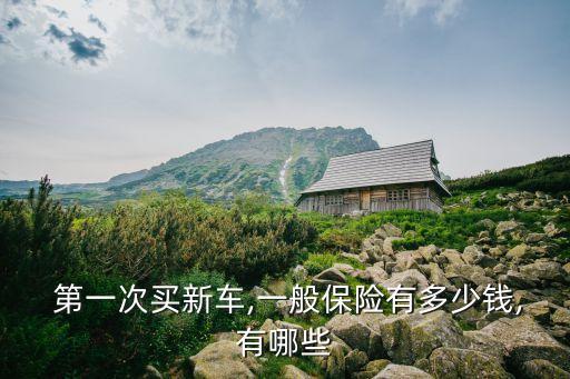  第一次買(mǎi)新車(chē),一般保險(xiǎn)有多少錢(qián),有哪些