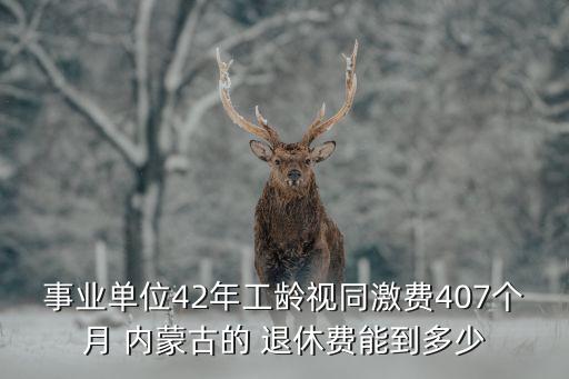 事業(yè)單位42年工齡視同激費407個月 內(nèi)蒙古的 退休費能到多少