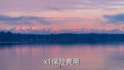 保險(xiǎn)的成本大概多少錢,保險(xiǎn)每年大概多少錢