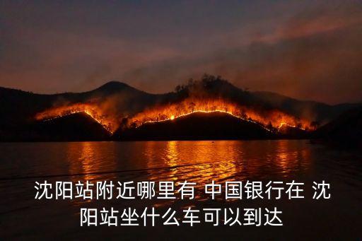 沈陽打東中國銀行電話號碼是多少錢,中國銀行沈陽市府廣場支行電話號碼