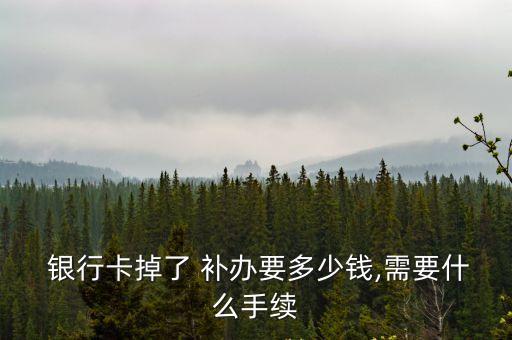  銀行卡掉了 補辦要多少錢,需要什么手續(xù)