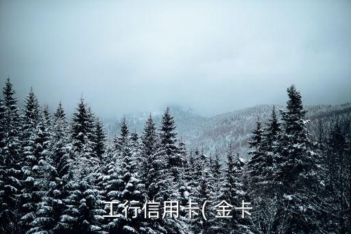 工行東航白金卡額度一般多少,東航中信聯(lián)名visa白金卡額度