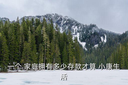 積蓄多少錢是小康家庭,家庭積蓄多少算小康