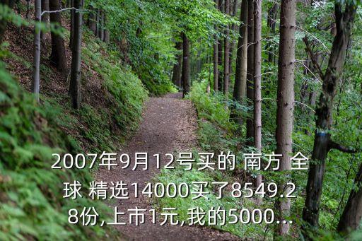 南方全球精選基金凈值是多少