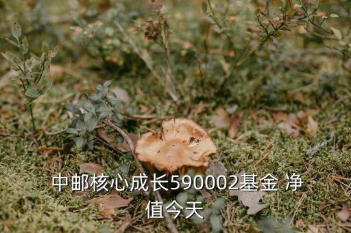  中郵核心成長(zhǎng)590002基金 凈值今天