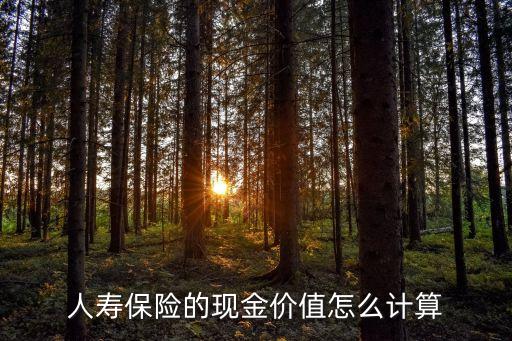 壽險(xiǎn)保單多少錢(qián),銀行存款變成了壽險(xiǎn)保單