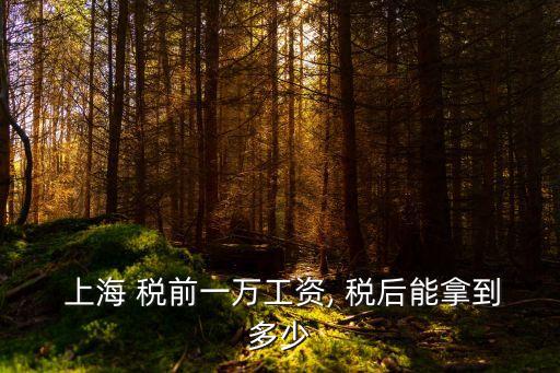  上海 稅前一萬工資, 稅后能拿到多少