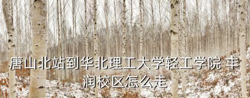 唐山北站到華北理工大學輕工學院 豐潤校區(qū)怎么走