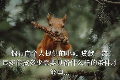  銀行向個(gè)人提供的小額 貸款一次 最多能貸多少需要具備什么樣的條件才能申...