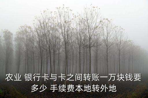 農(nóng)業(yè) 銀行卡與卡之間轉(zhuǎn)賬一萬塊錢要多少 手續(xù)費本地轉(zhuǎn)外地
