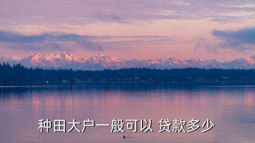 種田大戶一般可以 貸款多少