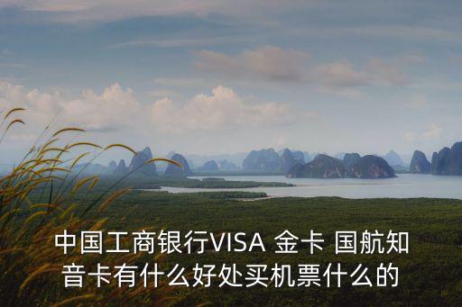 工行visa國航金卡額度是多少錢,工行環(huán)球旅行visa金卡可以漲額度嗎