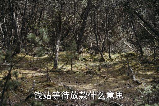 錢站等待放款什么意思