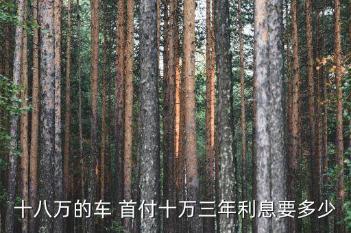 18萬左右的車子首付多少,30萬左右車子首付大概多少